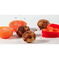 House of Macadamias Seasoned Nuts, Zesty Salsa